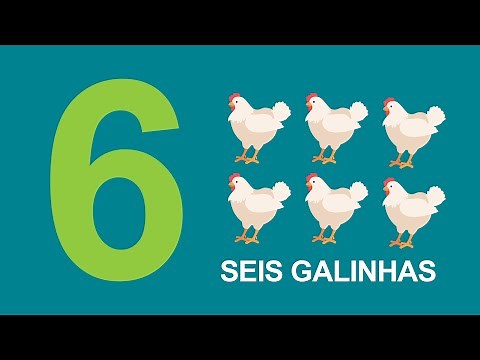 O Número Seis - Vídeo Educativo