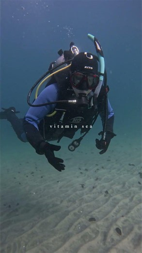 Vitamin Sea 🌊🪸
