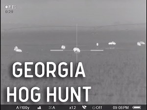 Georgia Hog Hunt with Thermal Night Vision