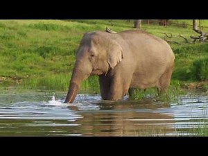 Detroit Zoo | National Reading Month: Winky and Wanda