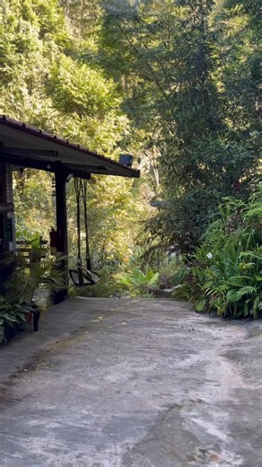 Bee forest หนาวเเล้วนะครับ🐶🐶🐶 | Bee Forest