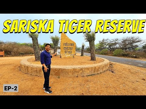 Sariska Tiger Reserve | Sariska National Park | Pandupol Hanuman Ji Mandir | Vikram Xplorer