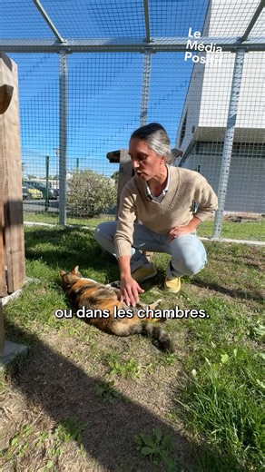 Dans cet Ehpad près de Bordeaux, les résidents peuvent désormais être accompagnés de leur animal de compagnie, grâce à l'initiative Ehpanimal. L’objectif : veiller au bien-être de nos seniors et de leur compagnon, et montrer qu’il existe des solutions pour éviter une séparation souvent difficile. 🙏 Tous les résidents de l’Ehpad peuvent profiter de la présence des chiens et chats. Des moments qui favorisent les échanges, la détente et la curiosité au sein de l’établissement. Une initiative soute