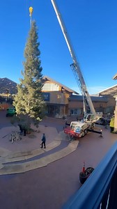 3.6K views · 47 reactions | For the 12th year in a row, join us for...