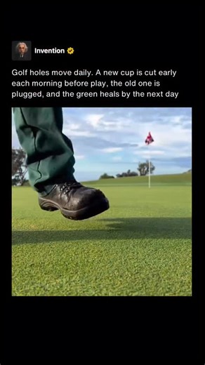 Invention on Instagram: "Every morning before play, golf courses relocate the hole to protect the putting surface and keep pin positions fair. A fresh cup is cut into the green, the liner is set flush, and the previous hole is carefully filled with a turf plug. This routine maintenance helps distribute foot traffic and prevents excessive wear in a single area. The plug used to fill the old hole comes directly from the new cup location. When placed correctly and brushed level, it blends seamlessl