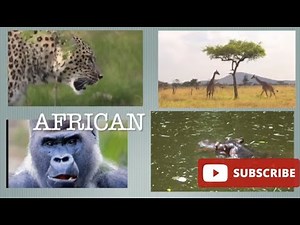 Multiple video in one Frame in iMovie