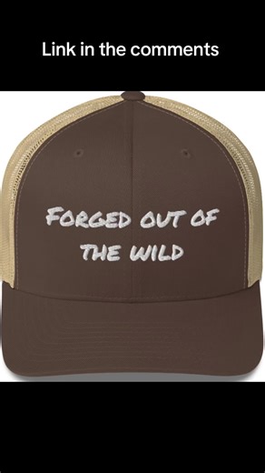 Ultimate Guide to Camping and Hiking Adventures