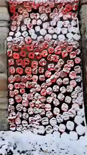 Congratulations to all the #stmaryson volunteers who crocheted 8,200 poppies to create a moving tribute for #remembranceweek. Today's snowfall adds a beautiful complexity to the simple, important act of remembrance. #lestweforget | Andrew L. Hodges Funeral Home
