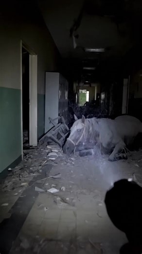 Enhance TikTok Reach with Popular UK Content