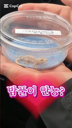 밥풀이🦎 26.01.01 헷100