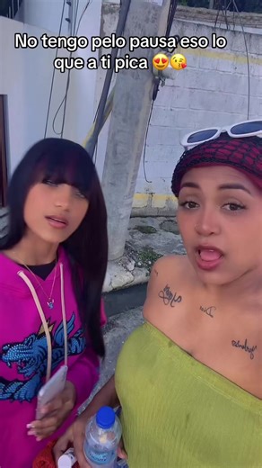 No Tengo el Pelo en Pausa: La Canción Viral