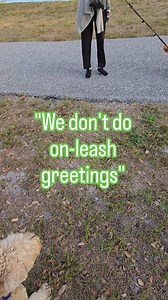 4.7M views · 434K reactions | Please don't be this kind of dog owner.... . #dogtraining #dogtrainer #smartdogs #karen #wheatonterrier | Ashleah Suzanne | Facebook