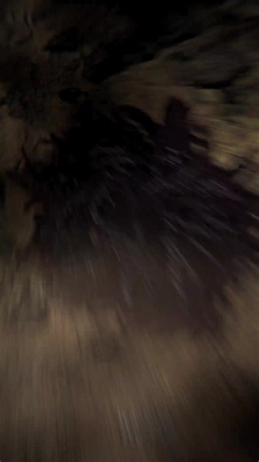 赶海盲盒玩法与开箱指南
