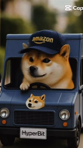 HyperBit Technologies (CSE:HYPE) on Instagram: "Dogecoin is now accepted by Amazon via Bitrefill. The future is bright. 🐕Come learn about #dogecoin mining and subscribe for updates at HyperBit.ca"