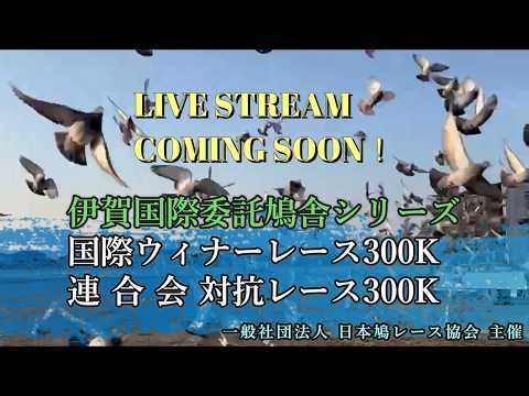 2026年度「伊賀国際ウィナー＆連合会対抗レース300K」ライブ配信！(アーカイブ）