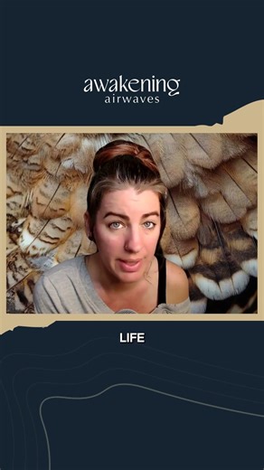 SPIRIT ANIMAL ARCHETYPES