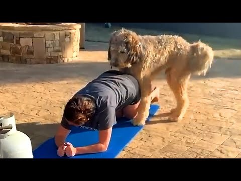 Backyard Blunders: Hilarious Mishaps and Misadventures | Funny Video Compilation