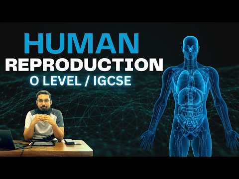Human Reproduction (Part 2 Human Reproductive System) O Level IGCSE Biology 2026