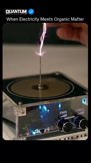 Quantum Computing and Tech on Instagram: "⚡ When Electricity Meets Organic Matter This high voltage electrical demonstration reveals how organic materials can conduct electricity under intense electric fields. What seems solid and insulating becomes a temporary pathway for energy. At high voltages, moisture, internal structure, and ionization within organic matter allow electrical current to pass through. The experiment visually explains how conductivity changes when electric potential reaches e