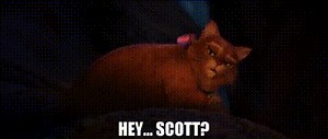 Hey... Scott?