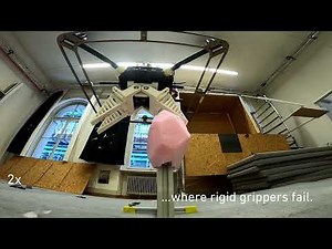 RAPTOR: Rapid Aerial Pickup and Transport of Objects by Robots