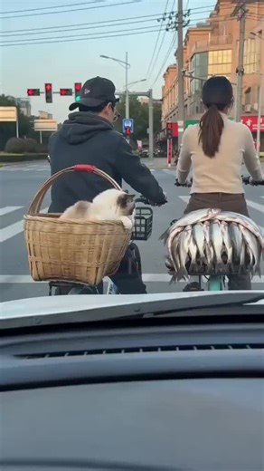 Exploring BalliBot: The Future of Tech and AI Innovation