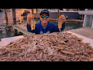 INSANE Shrimp Haul with a Cast Net! (Florida Keys Catch and Cook)