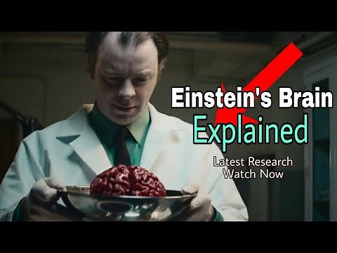 Einstein Brain vs Normal Brain | Surprising Fact Revealed
