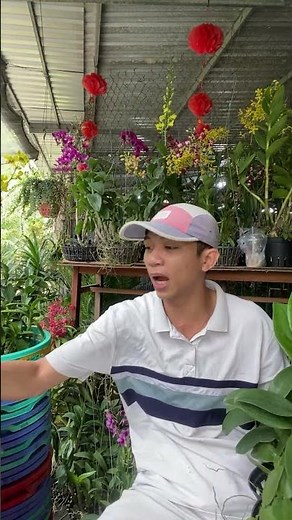 XANH LƯỠI NÂU ☎️0903177978