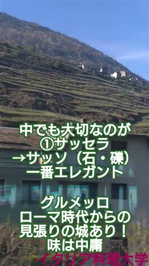 イタリア料理大学 食文化紀行④ イタリアの車窓から！ソムリエ向け解説！ヴァルテッリーナ渓谷〜 アルプスの谷を走る列車より。傾斜が凄い！ #イタリア料理大学 #イタリアワイン #ソムリエ