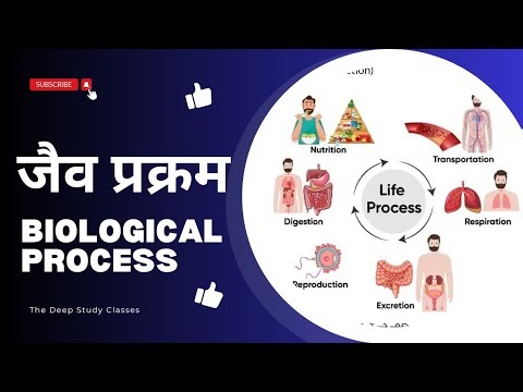 जैव प्रक्रम || Biological Process || Jaiv Prakaram Class 10th || Life Process