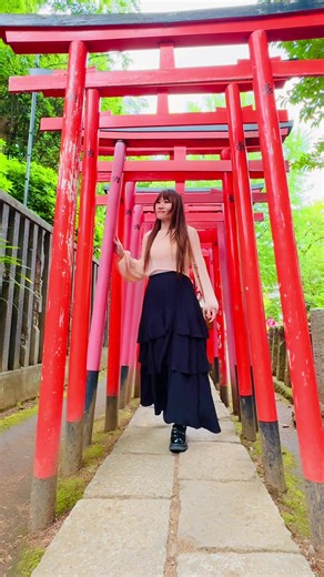 根津神社⛩️ 东京杜鹃花🌺品种最多的地方 #根津神社 #东京地陪 #东京旅游