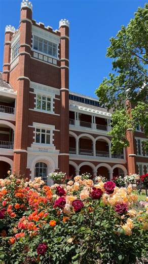 What learning looks like at Aquinas College 🏫☀️ As one of Perth’s most beautiful schools, this is where space meets spirit and our grounds inspire learning, growth and community every day🌱✨ | Aquinas College