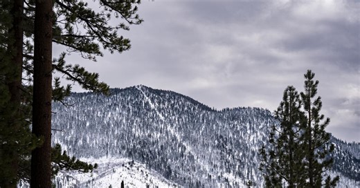 Two more skiers die in Lake Tahoe area, bringing death toll in region this year to at least 15