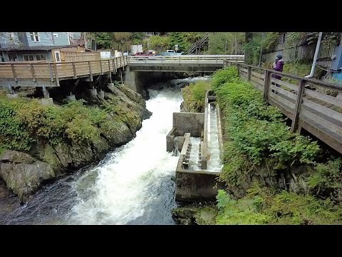 Ketchikan, Alaska - Salmon Ladder & Waterfall (2021)