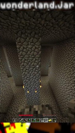 Getting Seperated in the Wonderlands #wonderland #minecraft #minecaftshorts #minecraftarg #MC