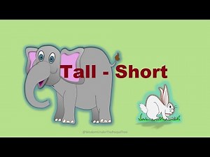 Learn Tall - Short | Long - Short concept for kids
