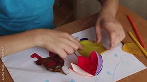 Duck and drake swimming in woodland pond on balmy fall evening.