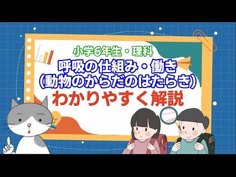 小学6年生理科「呼吸の仕組み」をわかりやすく解説