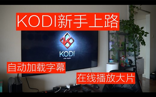【BIG东东】视频神器KODI小白上手 如何自动加载字幕和在线看大片 IPTV