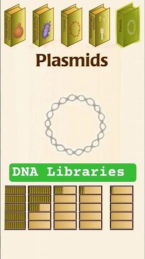 #plasmid #DNA Plasmids as DNA Libraries