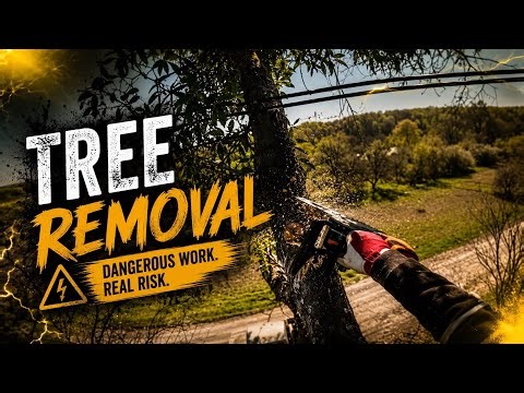 Extreme Tree Removal