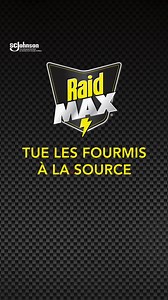 Débarrasse la maison des fourmis. Commence à tuer les fourmis, y compris les fourmis charpentières, en deça de 24 heures. | Raid