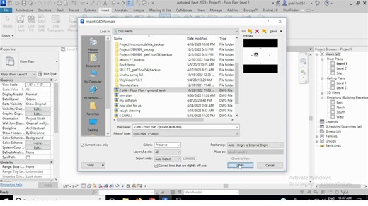 How to Insert AutoCAD Plan in REVIT Architecture | All Hidden Settings