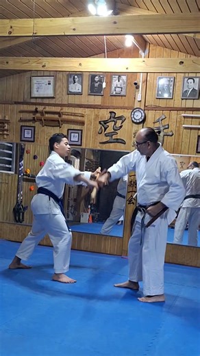 Saisho no Tonfa Bunkai #kobudo #karate