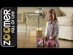 Zoomer | Zoomer Commercial | Behind The Scenes