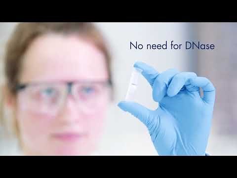 RNeasy Plus Kit High performance RNA extraction