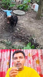 472K views · 1.7K reactions | জলপরী লাফাতে লাফাতে পা*লিয়ে গেল #reelsviralシ #videoviralシ #reelschallenge #Telant #machine #weather #bride #bikeride #work #duet | Md Milon Hossain 2.0 | Facebook