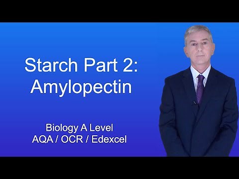 A Level Biology Revision "Starch Part 2: Amylopectin"