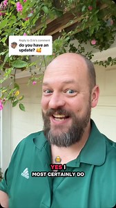 Here’s how our Peggy Martin roses are doing in the year 2025 🌹 | Brett Kenyon